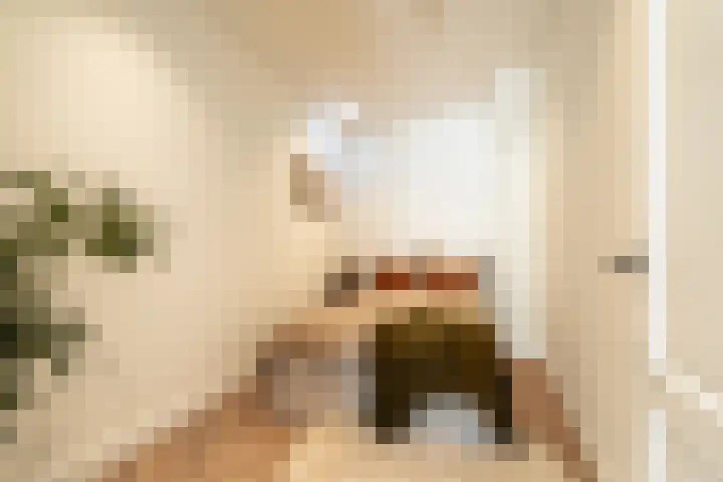 Lange Herenvest 8 ZW Haarlem thumbnail 23