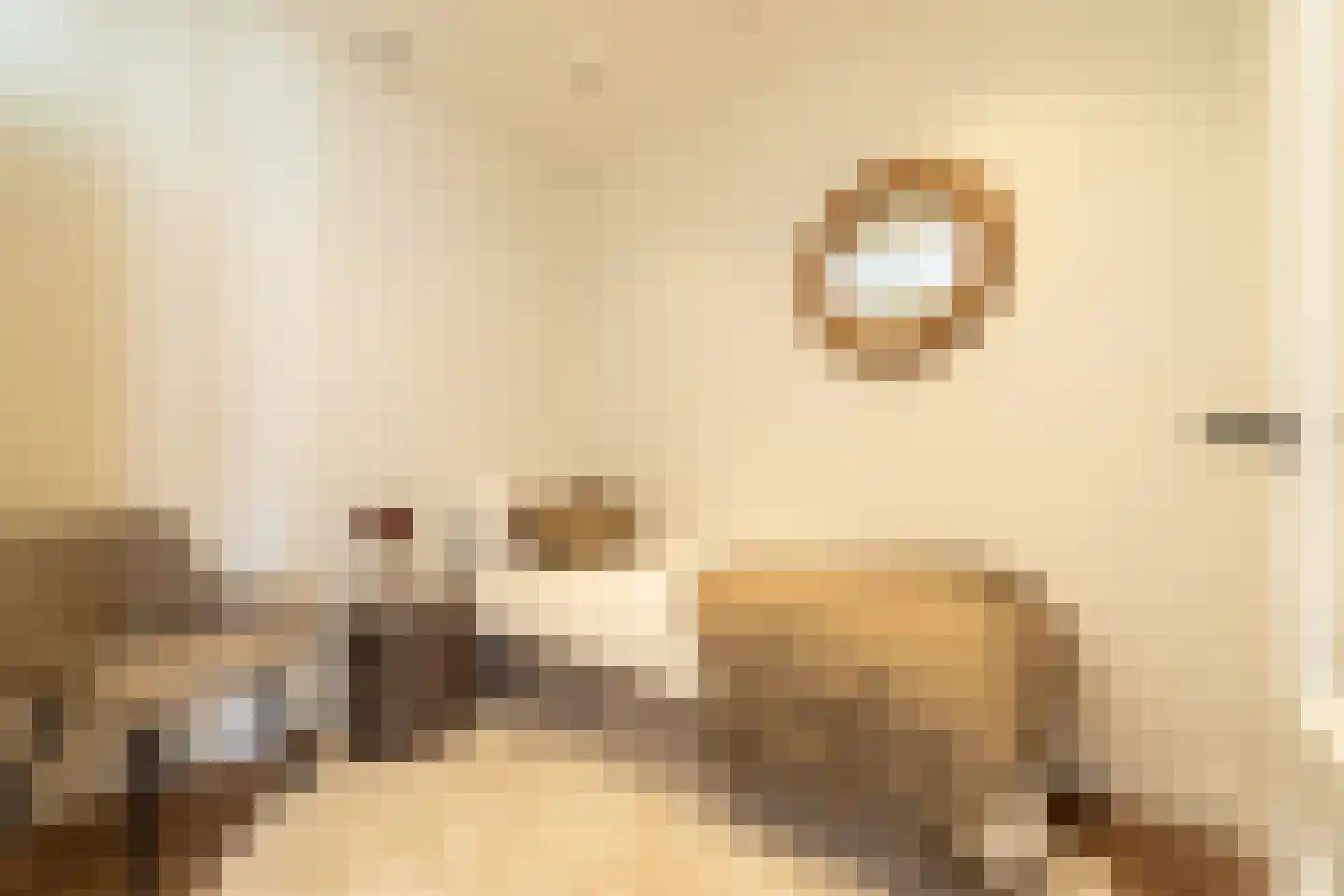 Lange Herenvest 8 ZW Haarlem thumbnail 25