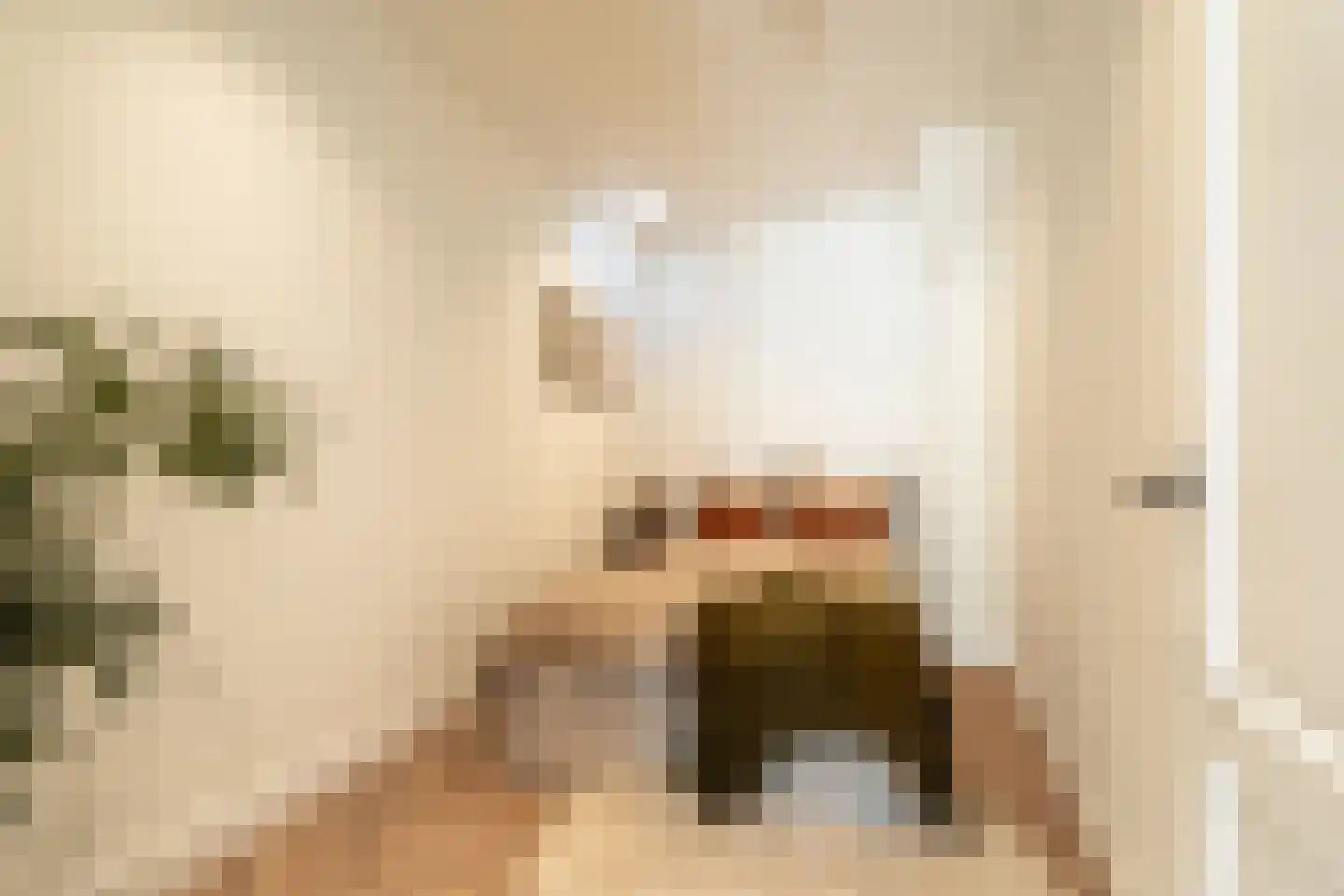 Lange Herenvest 8 ZW Haarlem thumbnail 4