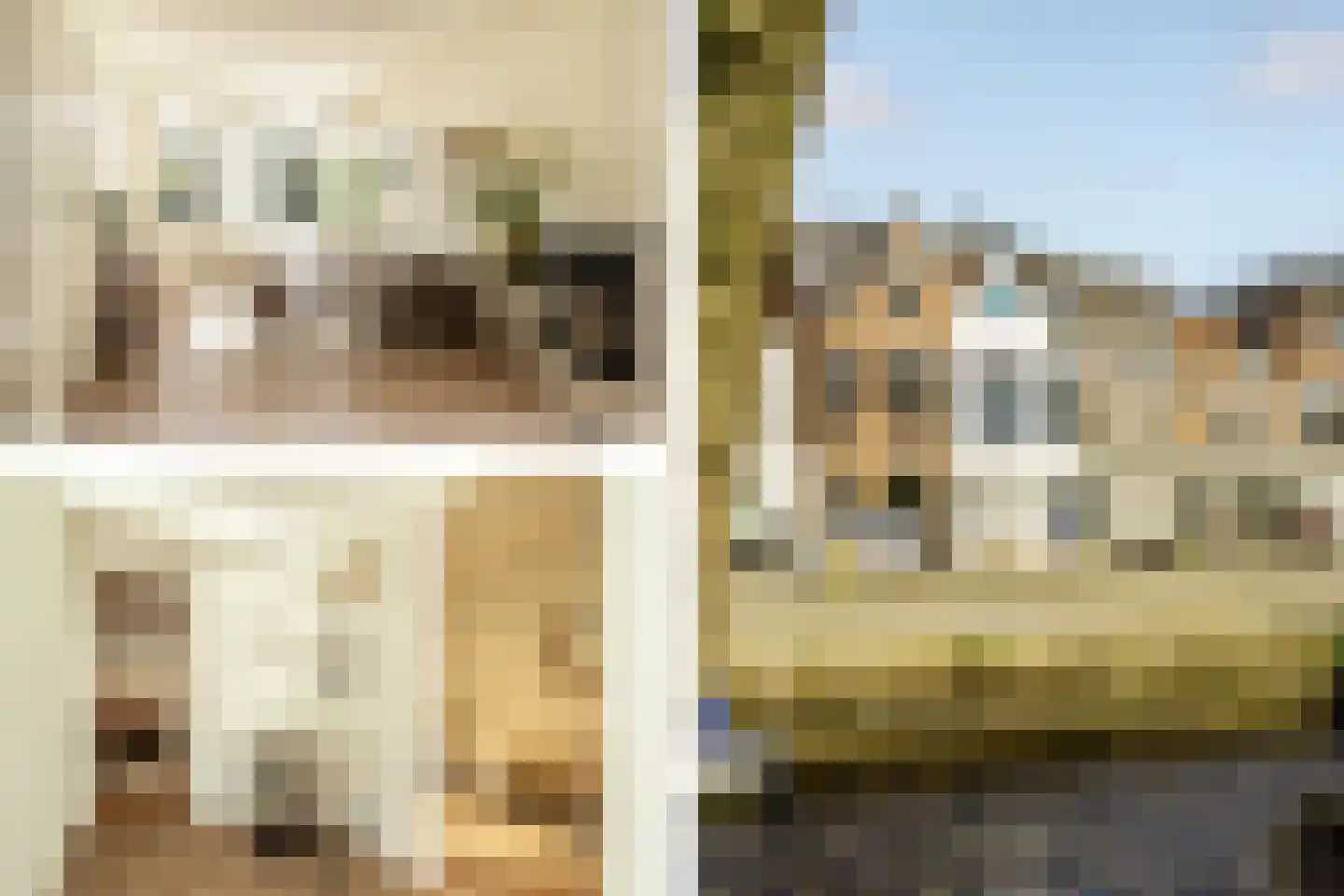 Lange Herenvest 8 ZW Haarlem thumbnail 6