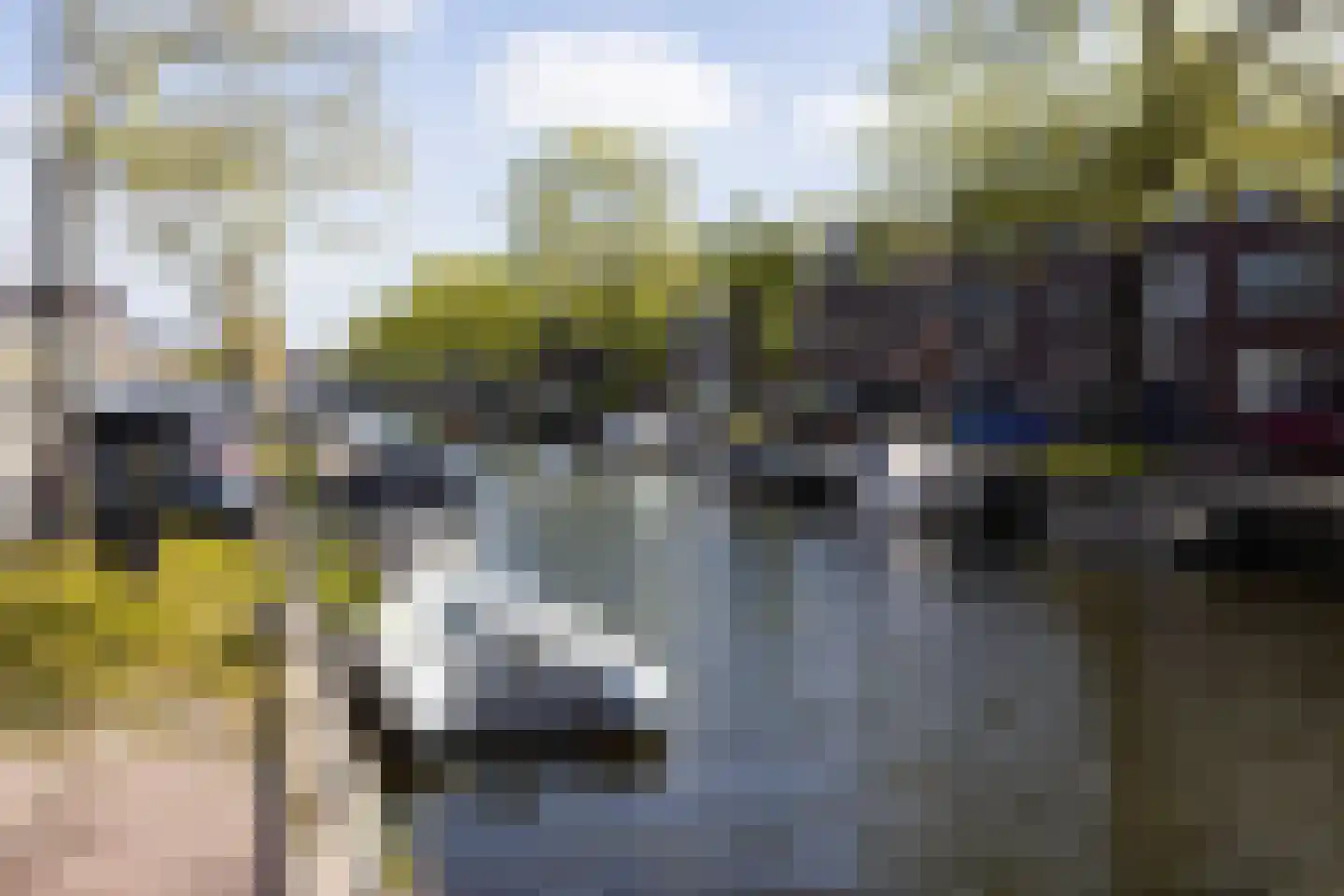 Lange Herenvest 94 Haarlem thumbnail 41