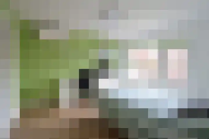 Lange Heul 115 Bussum thumbnail 8