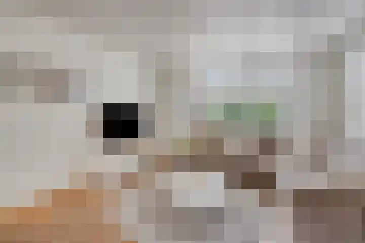 Lange Heul 153 Bussum thumbnail 9