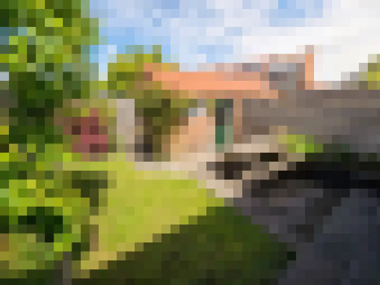 Lange Heul 195 Bussum thumbnail 24