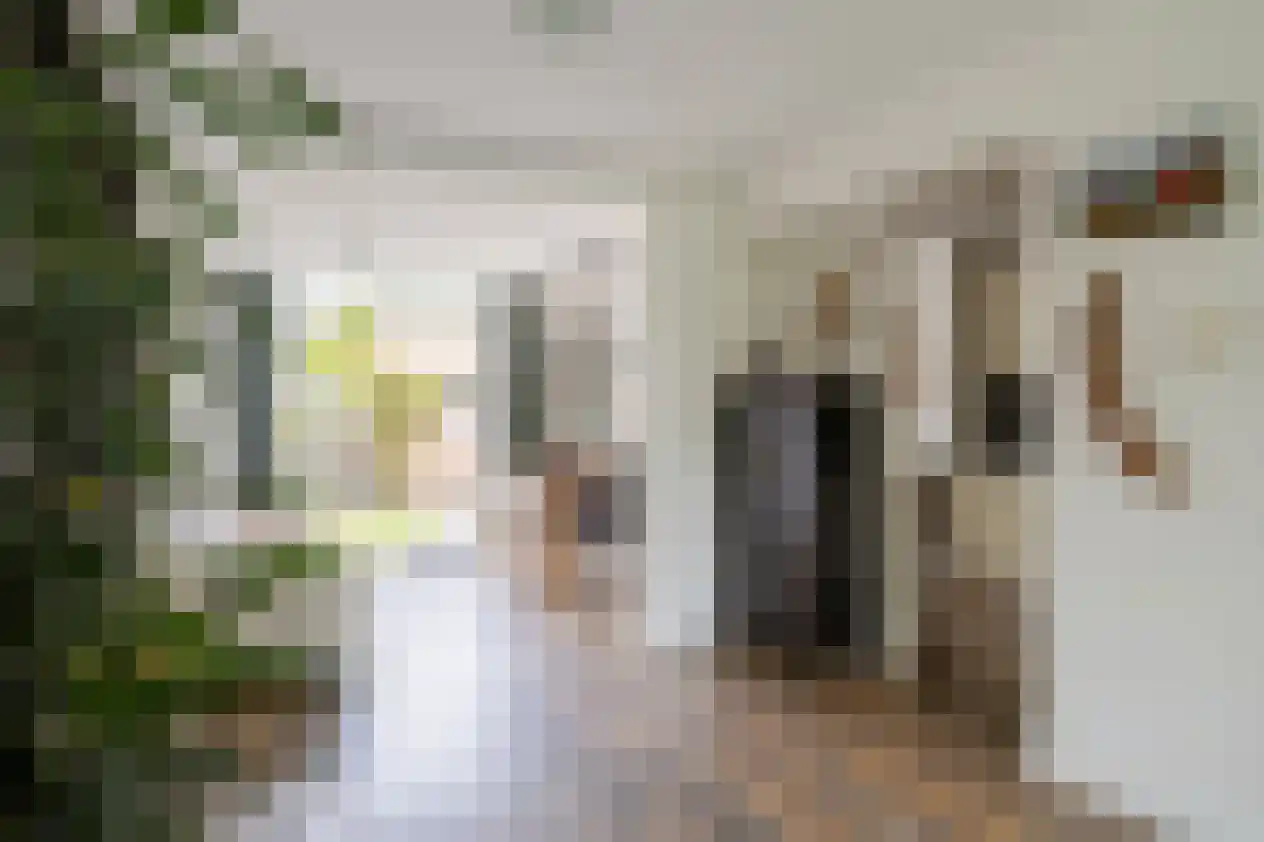 Lange Heul 195 Bussum thumbnail 8