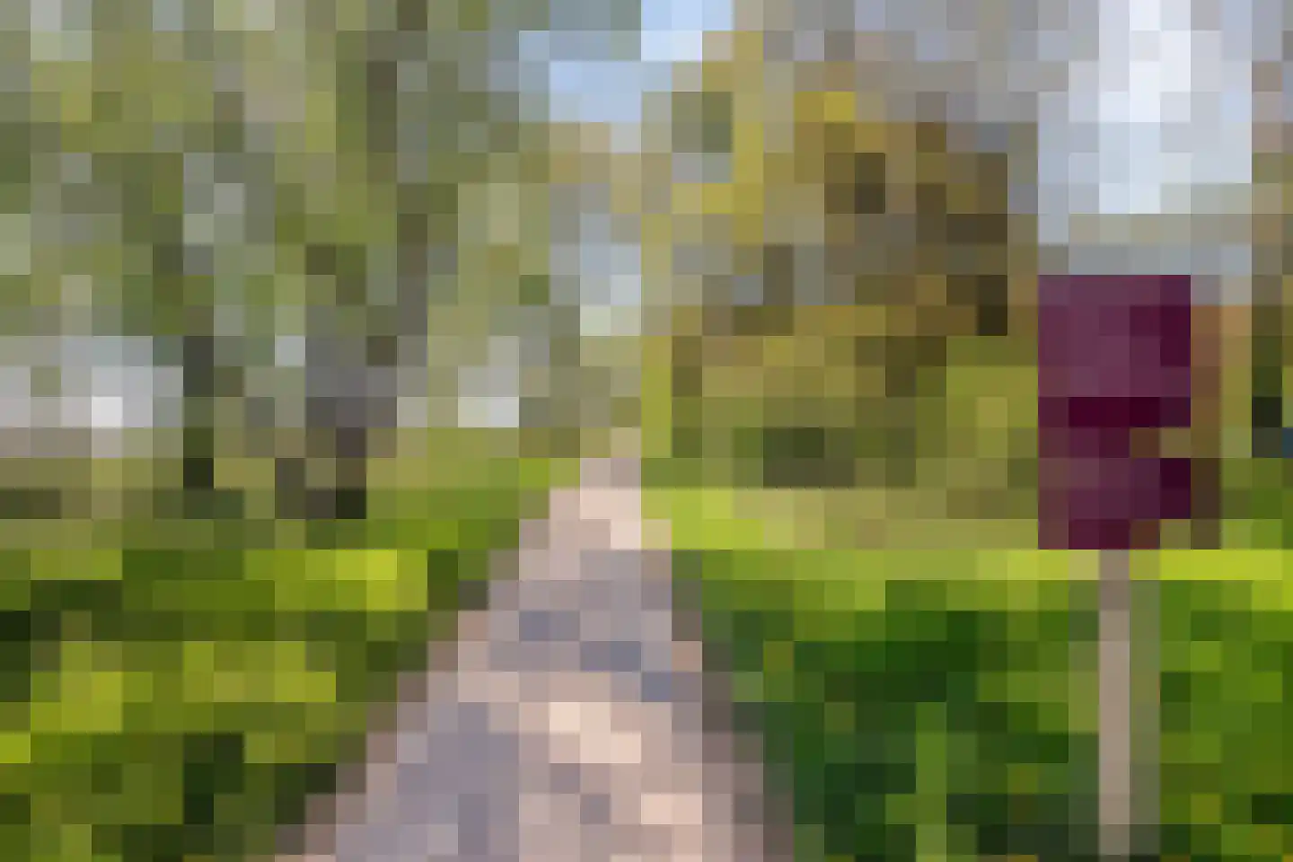 Lange Heul 219 Bussum thumbnail 13