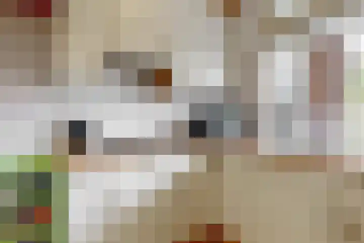 Lange Heul 404 Bussum thumbnail 12