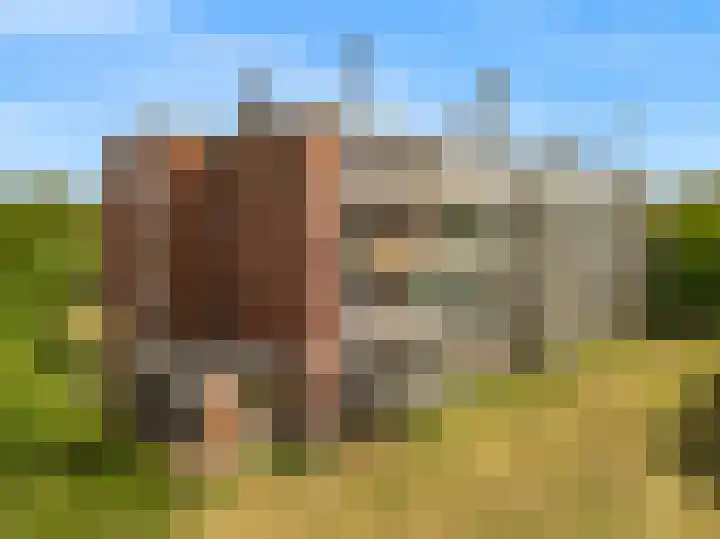Lange Heul 404 Bussum thumbnail 15