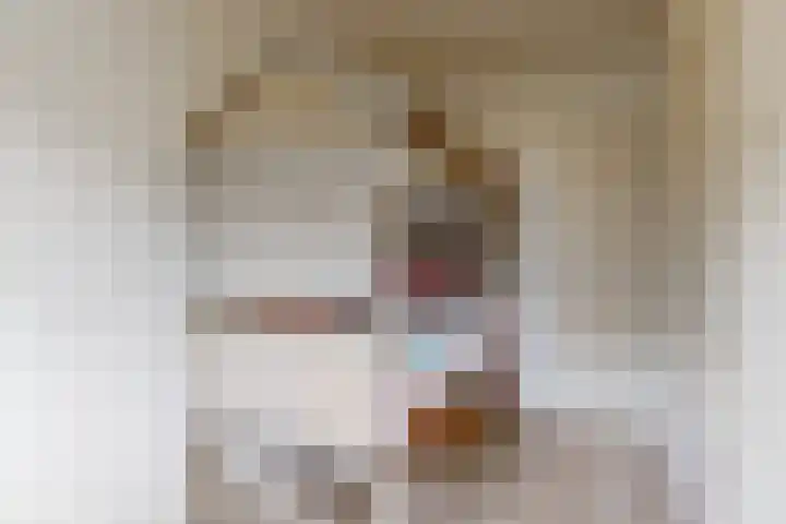 Lange Heul 404 Bussum thumbnail 7
