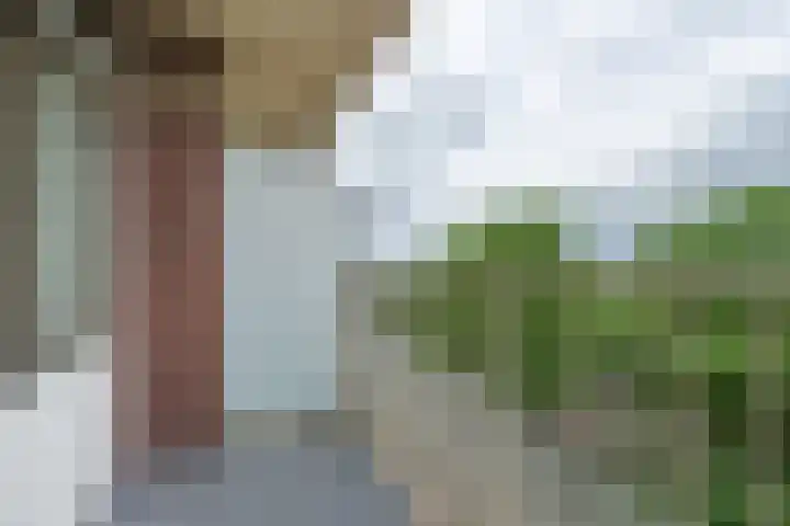 Lange Heul 430 Bussum thumbnail 19