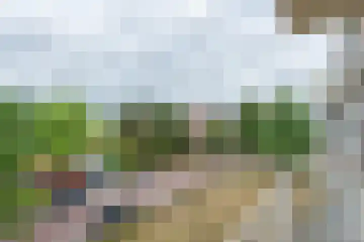 Lange Heul 430 Bussum thumbnail 20