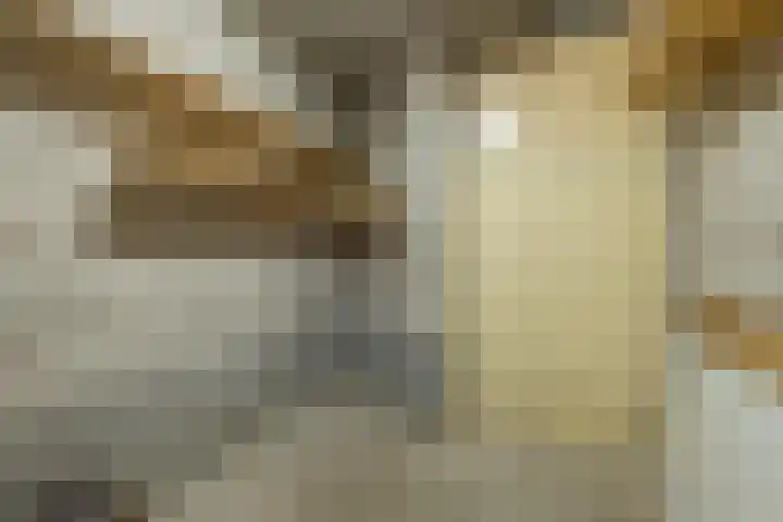 Lange Heul 430 Bussum thumbnail 31