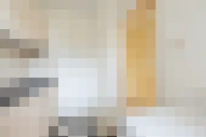 Lange Heul 430 Bussum thumbnail 9