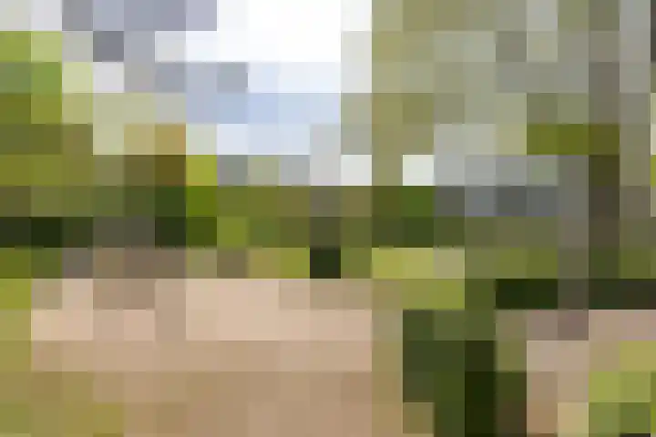 Lange Heul 476 Bussum thumbnail 18