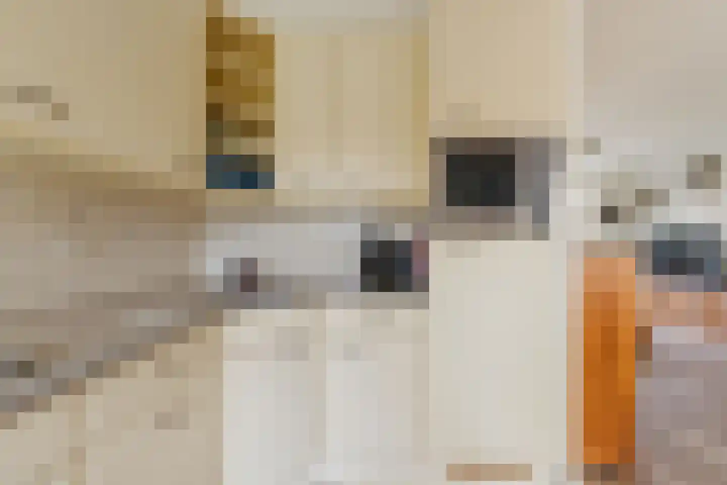 Lange Heul 5 Bussum thumbnail 13