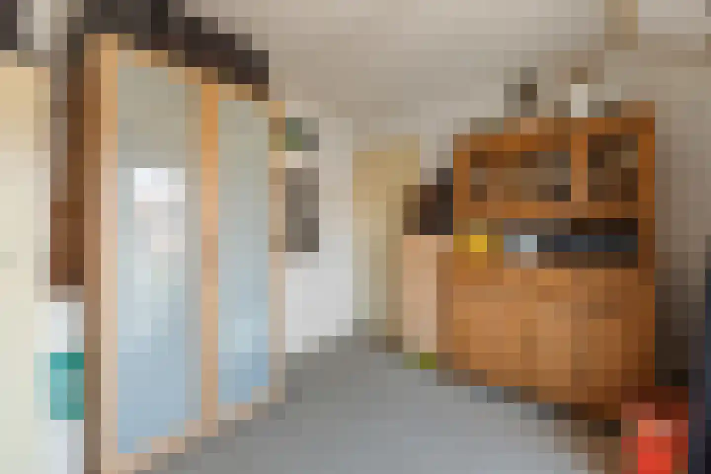 Lange Heul 5 Bussum thumbnail 19
