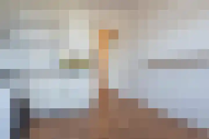 Lange Heul 506 Bussum thumbnail 9