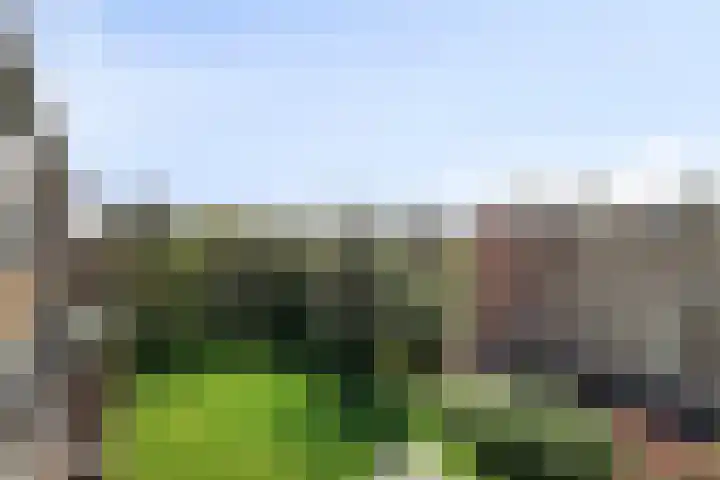 Lange Heul 510 Bussum thumbnail 17