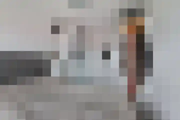 Lange Heul 510 Bussum thumbnail 19