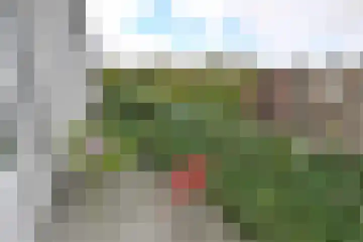 Lange Heul 580 Bussum thumbnail 9