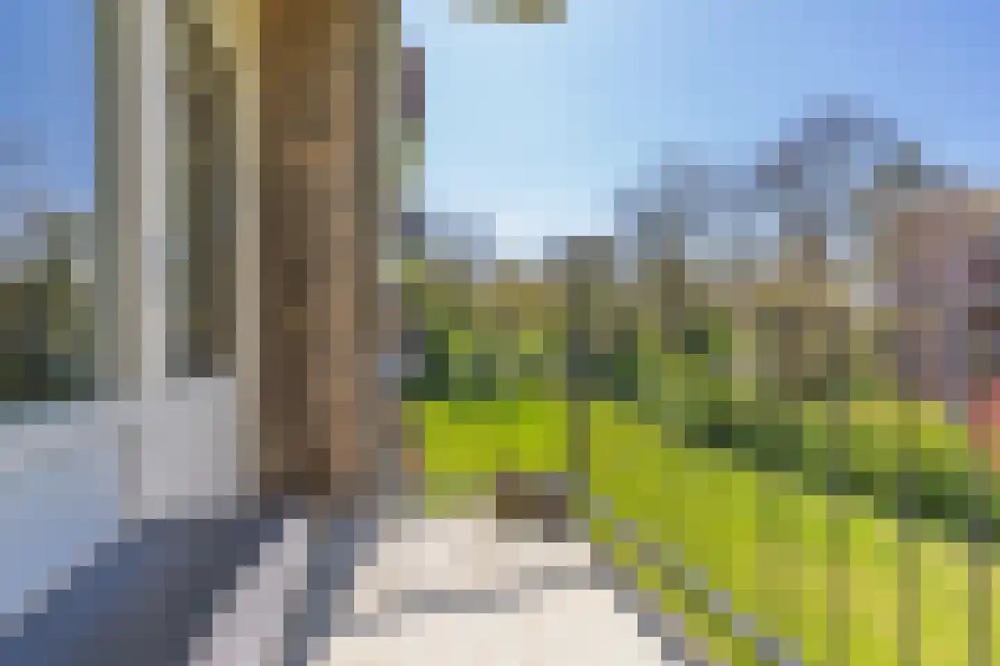 Lange Heul 626 Bussum thumbnail 24
