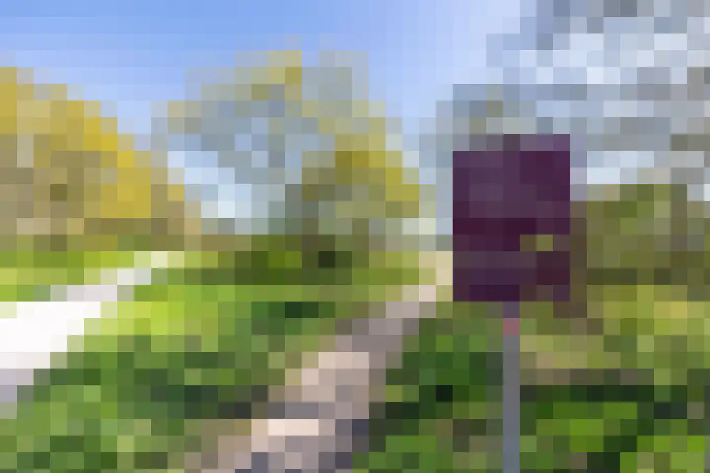 Lange Heul 626 Bussum thumbnail 28