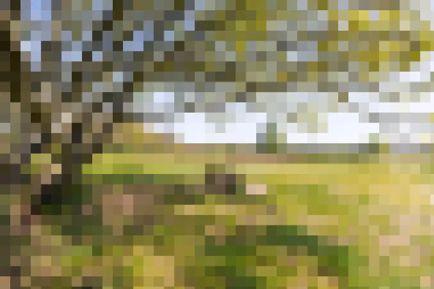 Lange Heul 626 Bussum thumbnail 29