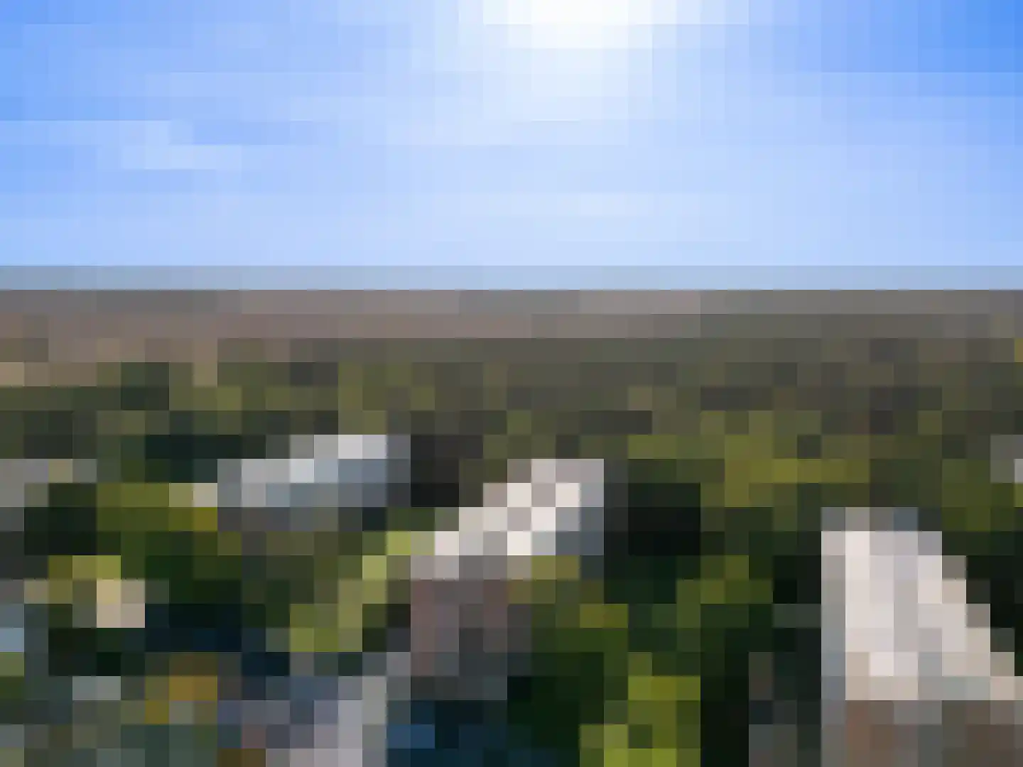 Lange Heul 640 Bussum thumbnail 16