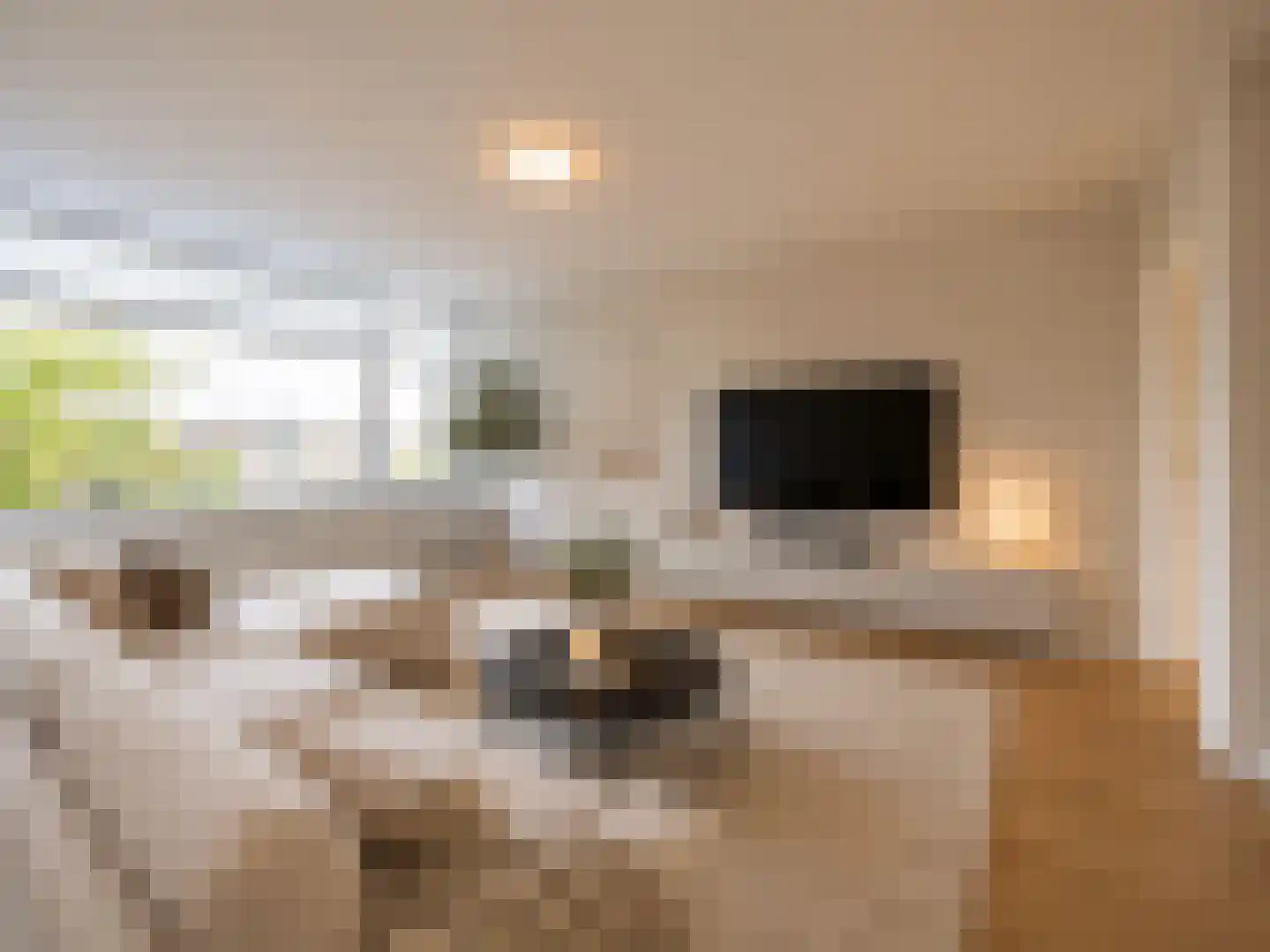 Lange Heul 656 Bussum thumbnail 13