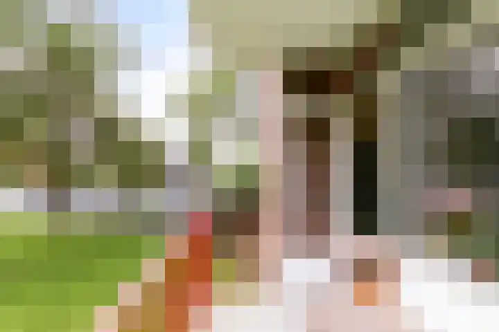 Lange Heul 682 Bussum thumbnail 17