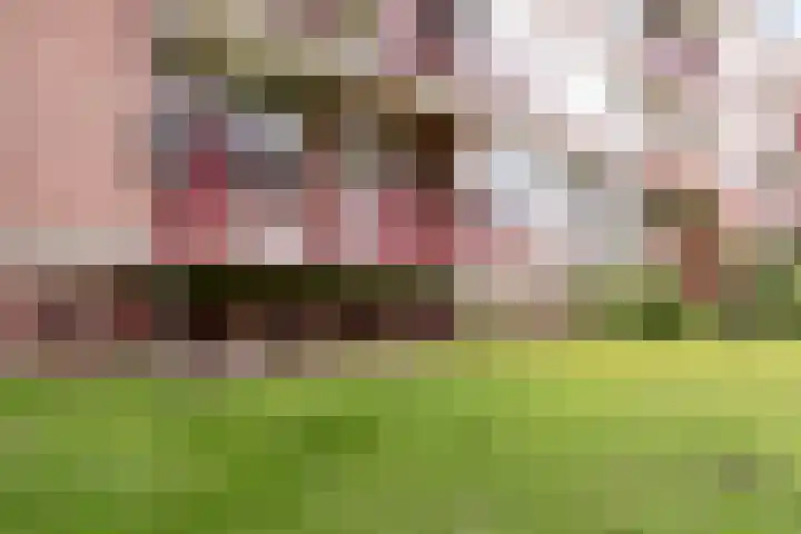 Lange Heul 682 Bussum thumbnail 25
