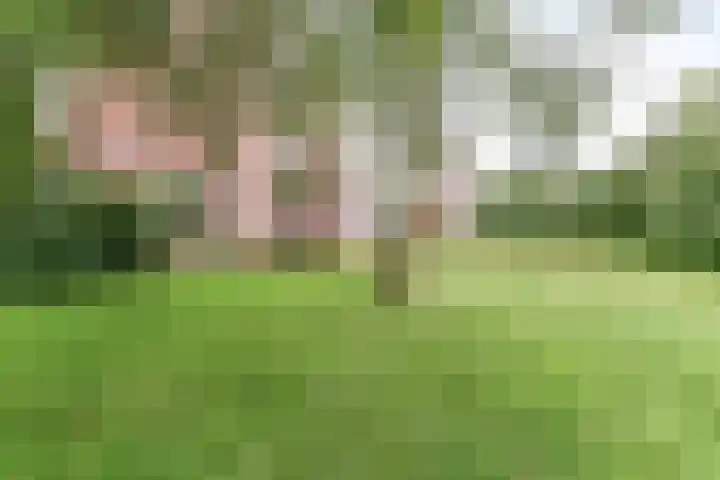 Lange Heul 682 Bussum thumbnail 5