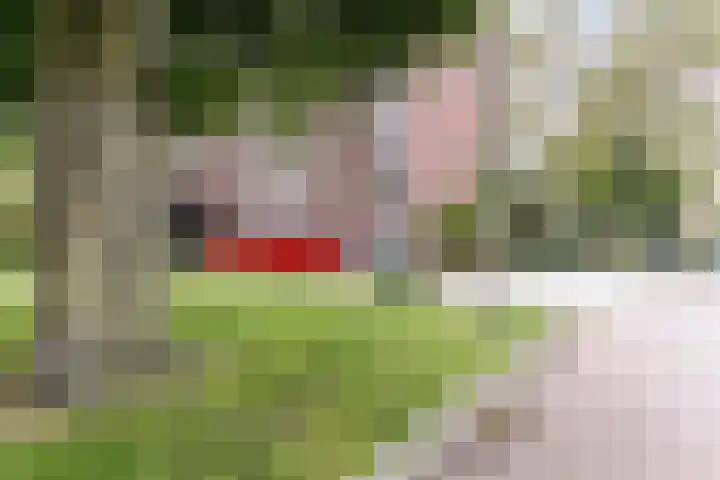 Lange Heul 682 Bussum thumbnail 6