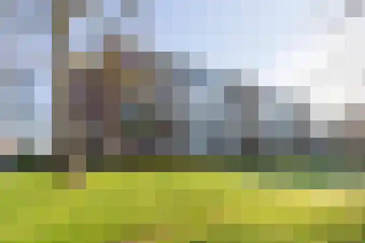 Lange Heul 692 Bussum thumbnail 22