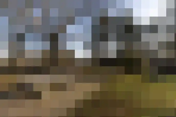Lange Heul 692 Bussum thumbnail 24