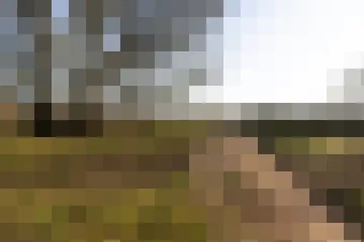 Lange Heul 692 Bussum thumbnail 26
