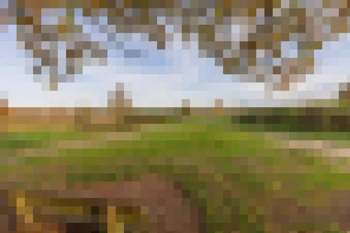 Lange Heul 706 Bussum thumbnail 15