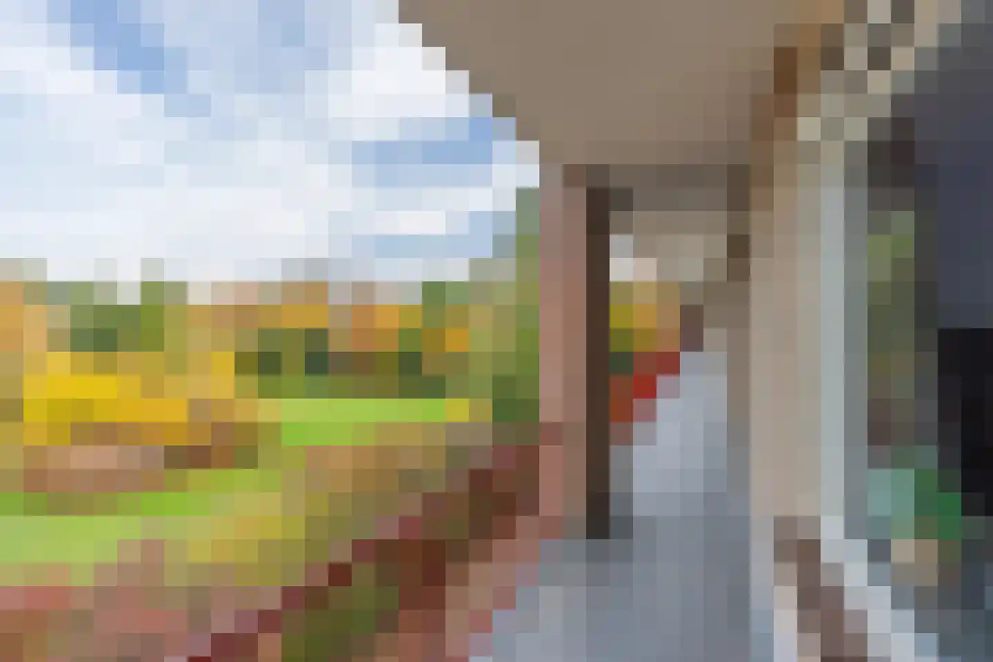 Lange Heul 706 Bussum thumbnail 8