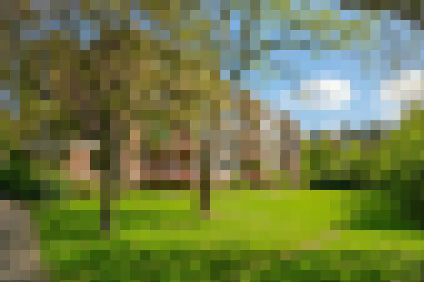 Lange Heul 726 Bussum thumbnail 18