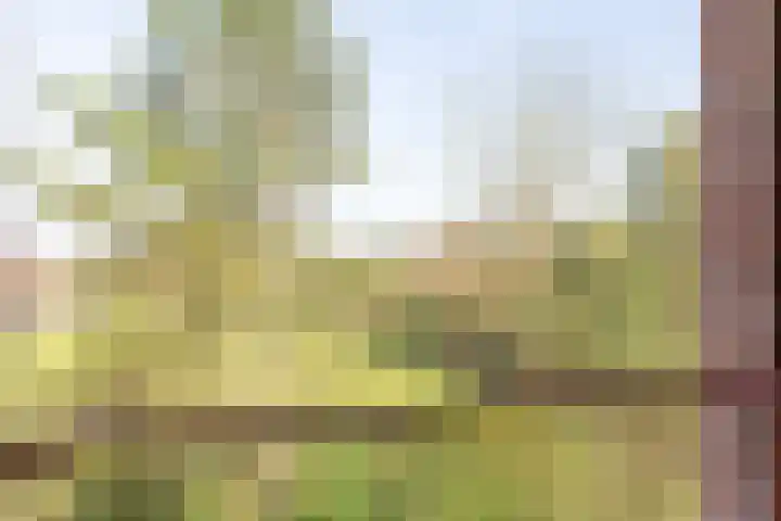 Lange Heul 728 Bussum thumbnail 12