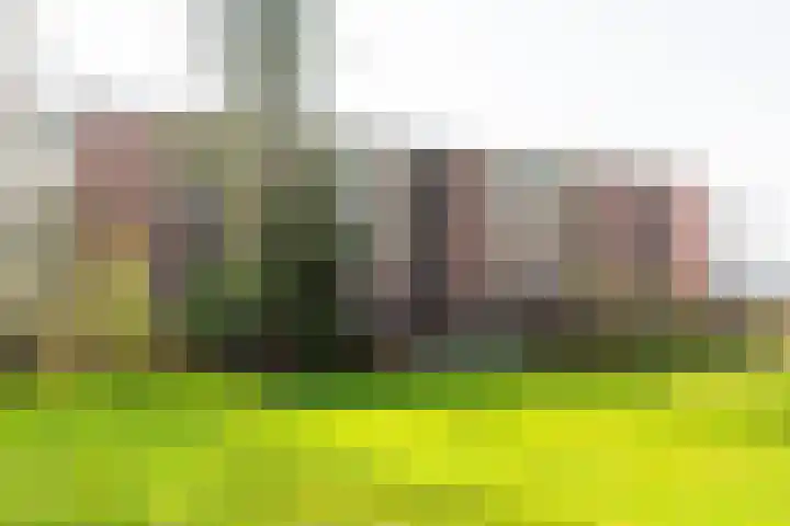 Lange Heul 728 Bussum thumbnail 15