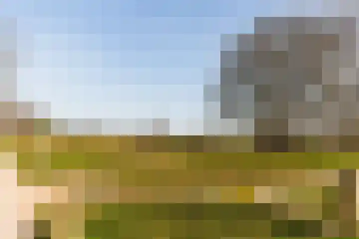 Lange Heul 728 Bussum thumbnail 16