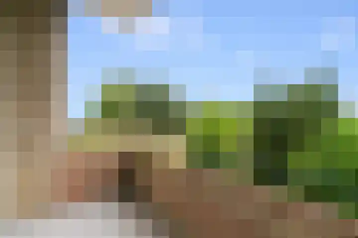Lange Heul 778 Bussum thumbnail 17