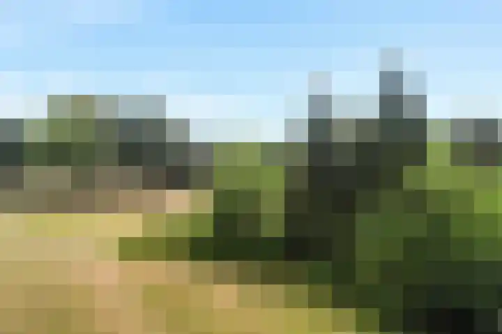 Lange Heul 778 Bussum thumbnail 18
