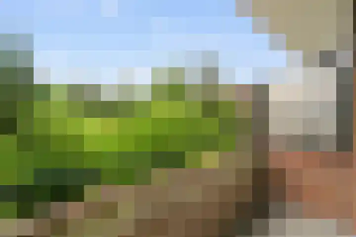 Lange Heul 778 Bussum thumbnail 19
