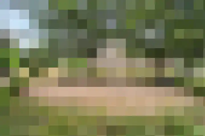 Lange Heul 778 Bussum thumbnail 27
