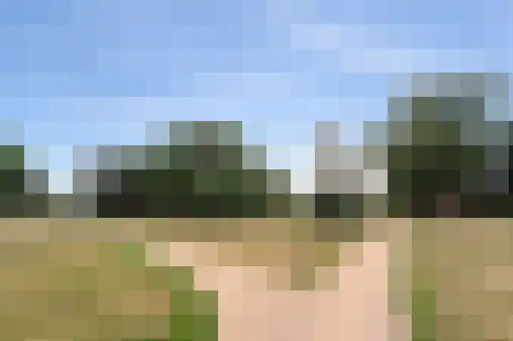 Lange Heul 778 Bussum thumbnail 29
