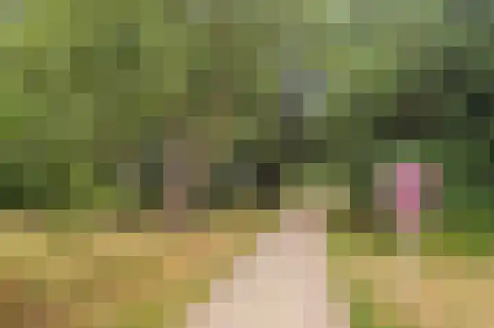 Lange Heul 778 Bussum thumbnail 30
