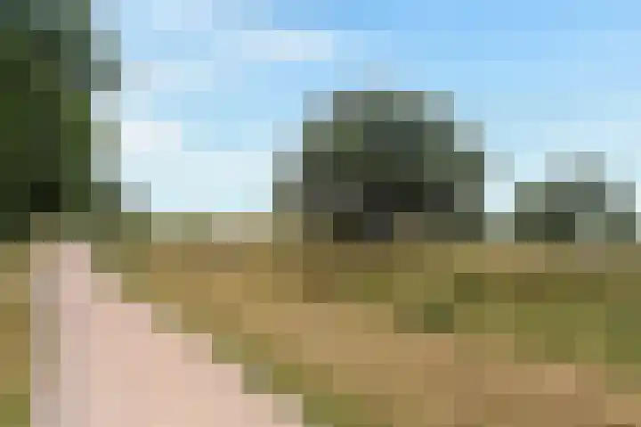 Lange Heul 778 Bussum thumbnail 31