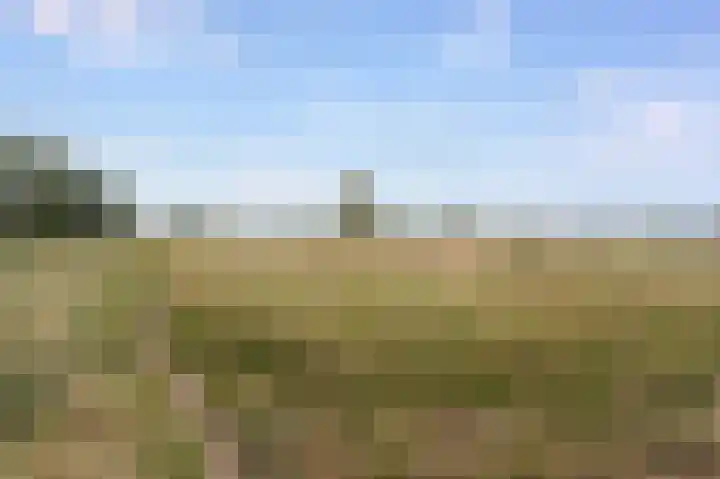 Lange Heul 778 Bussum thumbnail 32